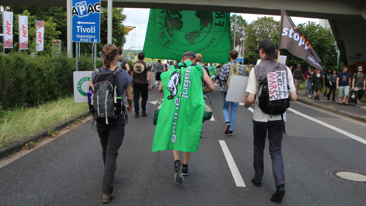 Kaktus people on a demonstration of Fridays for Future