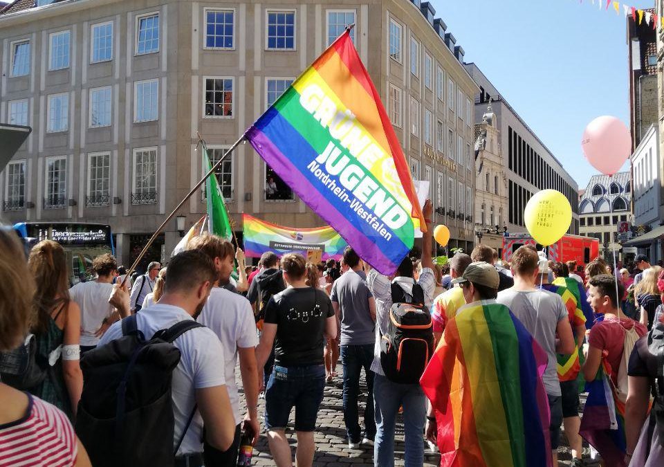 (c) Kaktus-muenster.de