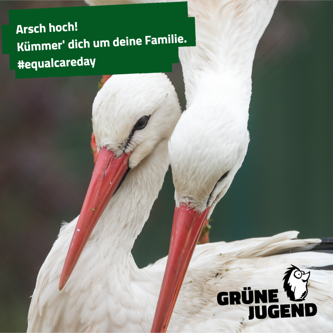 Ein Storch beugt sich über einen anderen. Auf dem Bild steht : "Arsch hoch! Kümmer' dich um deine Familie. #equalcareday"